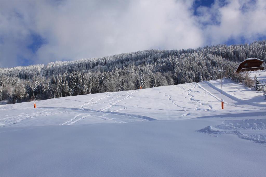 Hotel Chalet Les Airelles Les Carroz d'Araches Luaran gambar